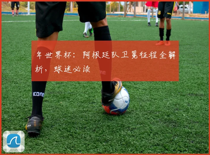 年世界杯：阿根廷队卫冕征程全解析，球迷必读
