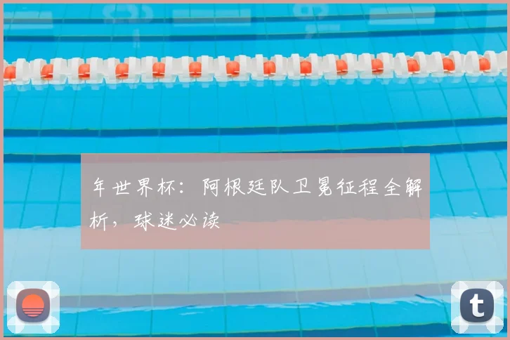 年世界杯：阿根廷队卫冕征程全解析，球迷必读